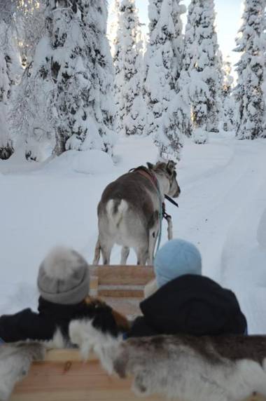 Rukariutta Apartments