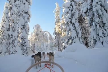 Rukariutta Apartments