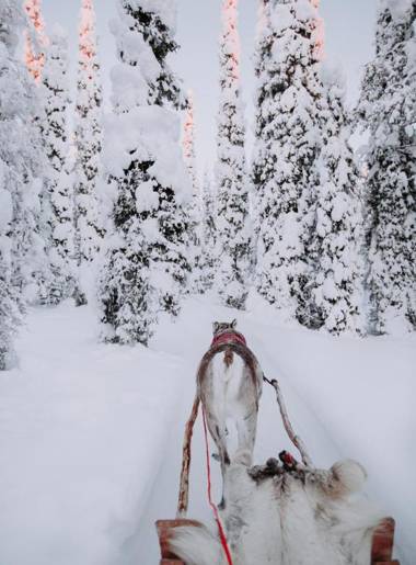 Magical Pond Nature Igloos