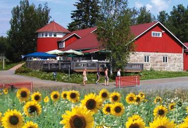 Ollinmäki Vineyard