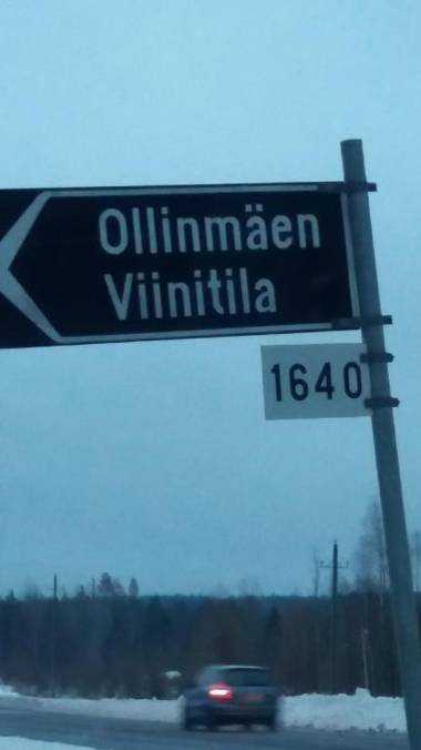 Ollinmäki Vineyard