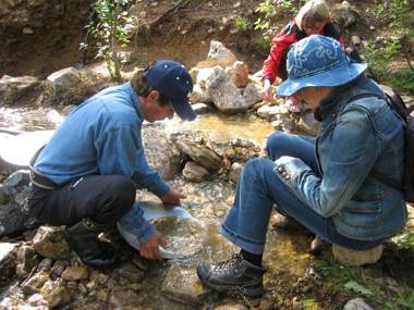 Paltto Elämysretket