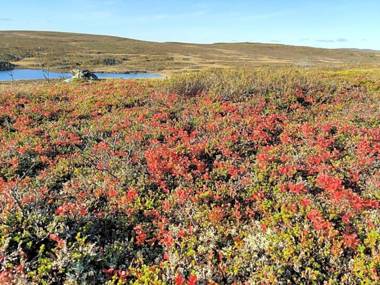 Nuorgam Holiday Village