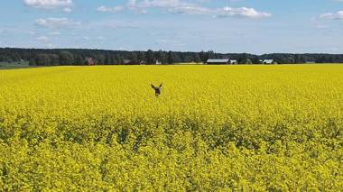Levomäki Farm Cottages