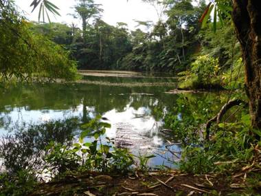 Rainforest Eco Lodge