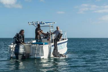 Nukubati Private Island