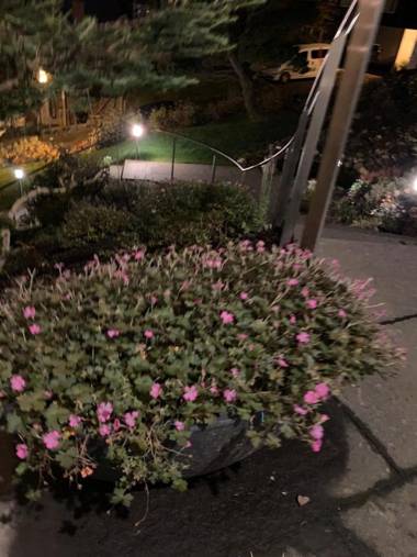 Apartment 15 min walk from the city center