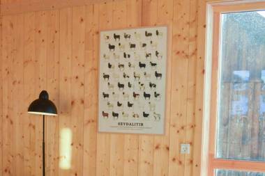 Múlafossur Cottage No 2 by Famous Waterfall in Gásadalur