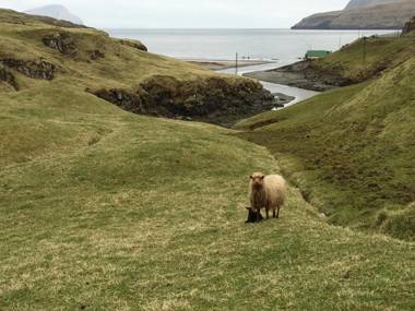 Idyllic house near river and ocean