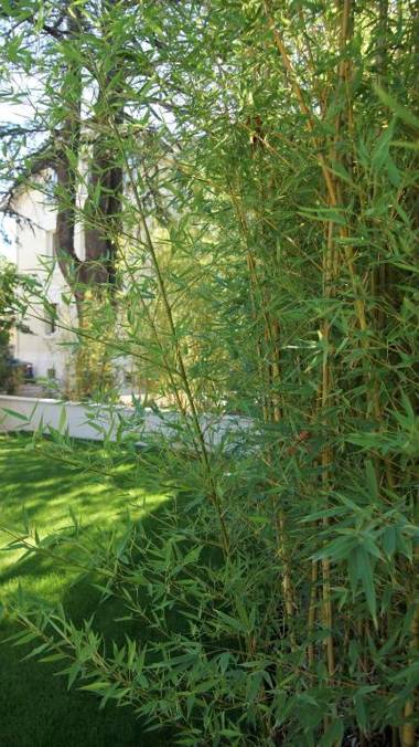 Hôtel de charme L'Orée du Parc