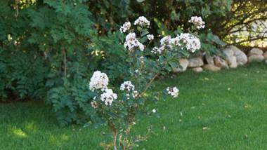 Hôtel de charme L'Orée du Parc