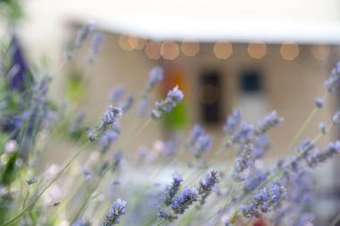 Logis Le Mistral - Montélimar Sud