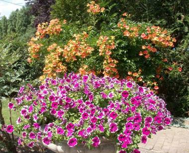 Le Clos des Perraudières