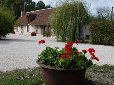 Gîte Cour-Cheverny 3 pièces 5 personnes - FR-1-491-225
