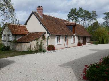 Gîte Cour-Cheverny 3 pièces 5 personnes - FR-1-491-225