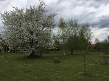 Casa La Palma II COURMELLETTE