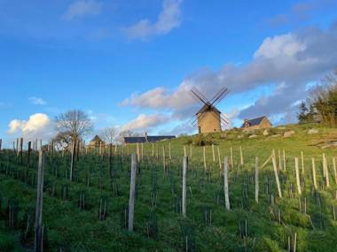 Manoir de la Bégaudière