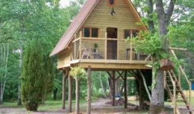 Le Nid Dans Les Bruyères