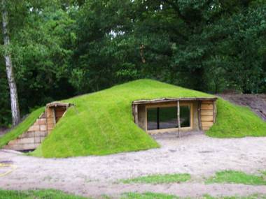 Le Nid Dans Les Bruyères