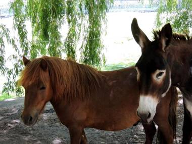 Hotel Restaurant du Parc