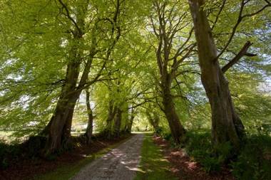 Le Manoir de La Fieffe