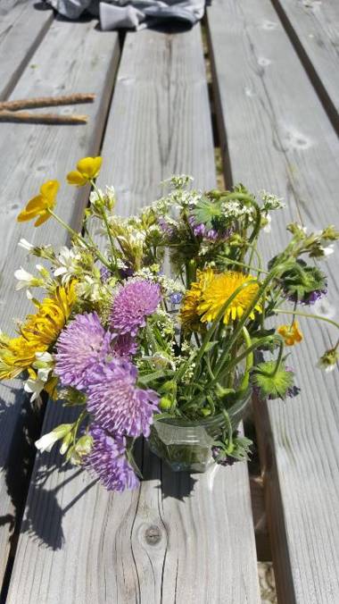 Maison La Vigne - Gîtes et Chambres d'hôtes