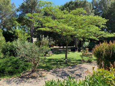 Domaine Au Coeur des Alpilles