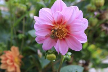 Chambres d'Hôtes Villa Mon Repos