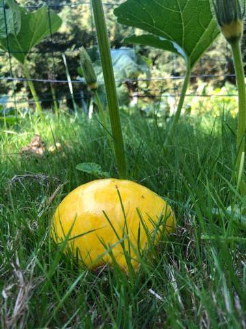 Le prieure des fontaines