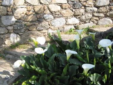 Logis Hotel Restaurant Le Bellevue