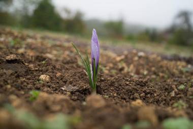 Domaine du Châtelard
