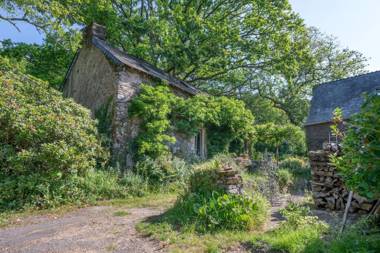 Charmante maison dans un ecrin de verdure a Rochefort en Terre