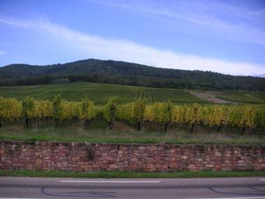 Gite Les clés des Vignes