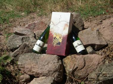 Gite Les clés des Vignes