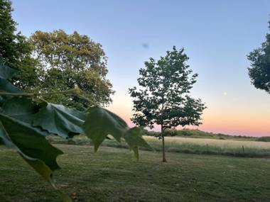 Château de Neyran Maison d'hôtes & Spa