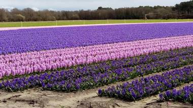 Appartements à côté Lac Marin de Port d'Albret