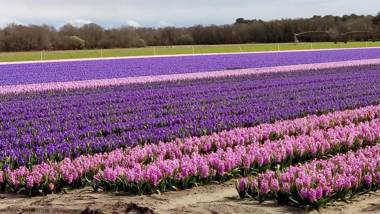 Appartement Vieux Boucau