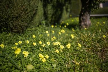 VILLA GIPSY Villefranche-sur-Mer
