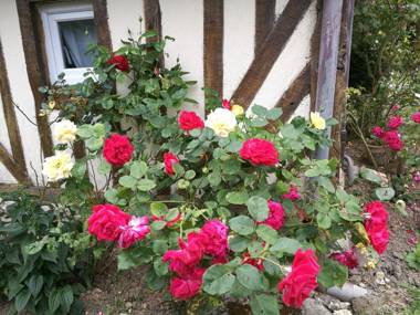 La Longère d'Auberville