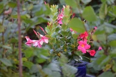 Chambres d'hôtes "La Bouill'hôte"