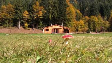 Chalet au bord du lac de Longemer