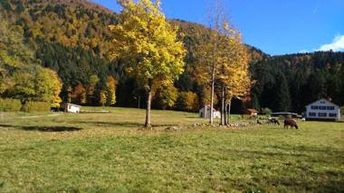 Chalet pour amoureux de la nature avec vue sur le lac de Retournemer