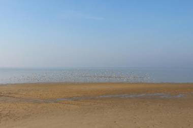 Grande villa bassin d’Arcachon spacieuse et lumineuse 10 personnes