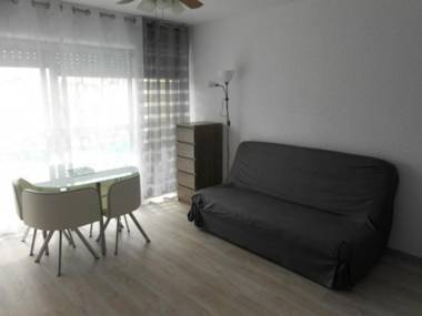 Studio Biscarrosse Plage 2 pièces 4 personnes - FR-1-319-185