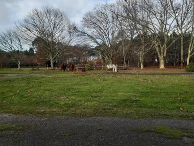 Domaine de l’Escuderia