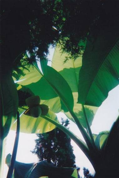 Chambres d'Hôtes Closerie du Guilhat