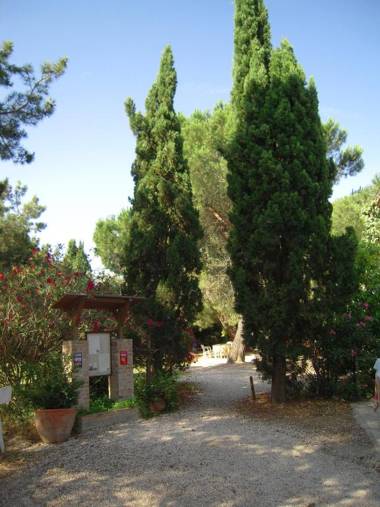 Manade Cavallini - Mas de Pioch