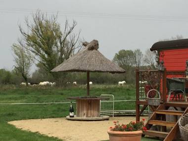 Mas du Menage en Camargue Manade Clauzel