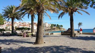 Studio "Les Roches blanches" - Vue mer & Vignes