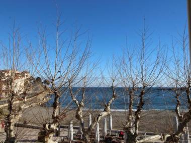 Appartement Banyuls-sur-Mer 3 pièces 4 personnes - FR-1-309-9